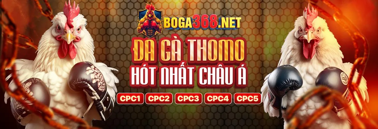 Hình ảnh chính 789win với các trò cá cược trực tuyến sôi động